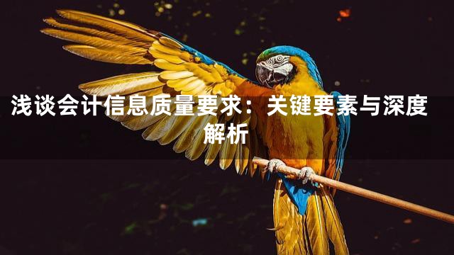 浅谈会计信息质量要求：关键要素与深度解析