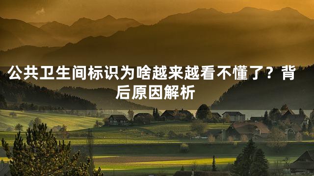 公共卫生间标识为啥越来越看不懂了？背后原因解析