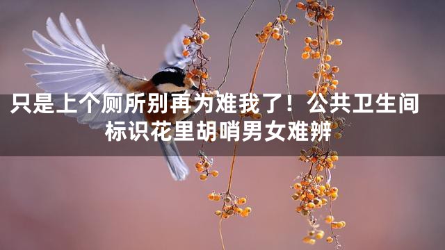 只是上个厕所别再为难我了！公共卫生间标识花里胡哨男女难辨