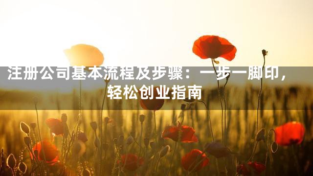 注册公司基本流程及步骤：一步一脚印，轻松创业指南