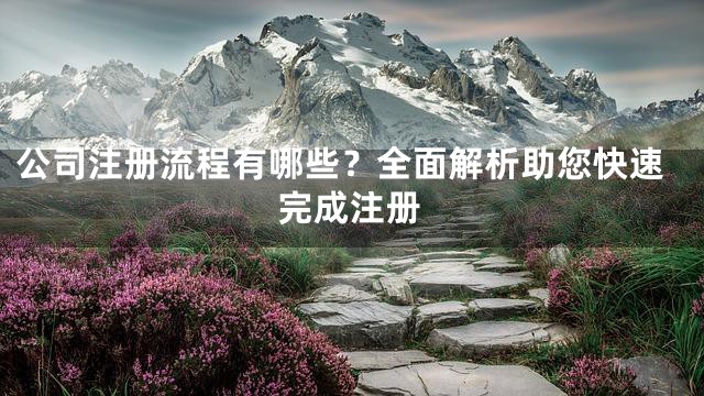 公司注册流程有哪些？全面解析助您快速完成注册