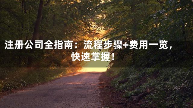 注册公司全指南：流程步骤+费用一览，快速掌握！