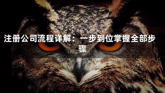 注册公司流程详解：一步到位掌握全部步骤