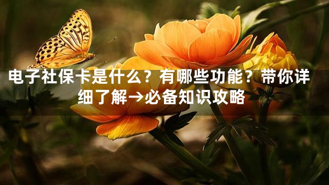 电子社保卡是什么？有哪些功能？带你详细了解→必备知识攻略