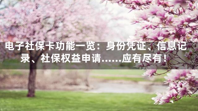 电子社保卡功能一览：身份凭证、信息记录、社保权益申请……应有尽有！