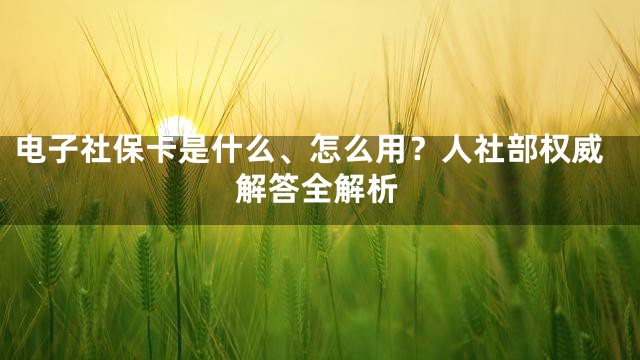电子社保卡是什么、怎么用？人社部权威解答全解析