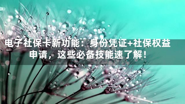 电子社保卡新功能：身份凭证+社保权益申请，这些必备技能速了解！