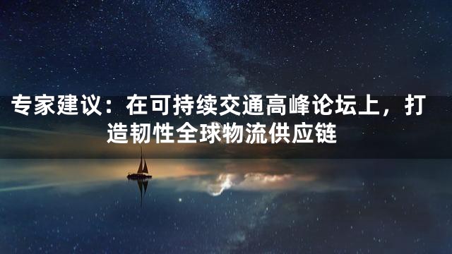 专家建议：在可持续交通高峰论坛上，打造韧性全球物流供应链