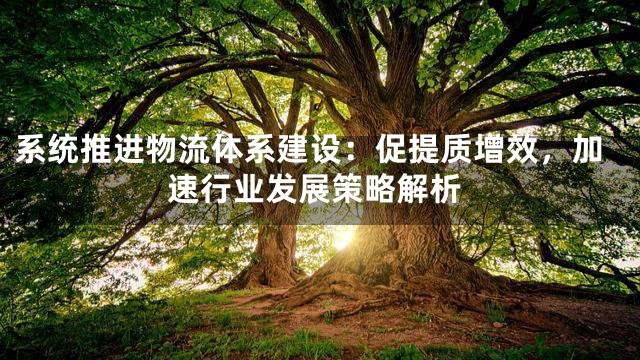 系统推进物流体系建设：促提质增效，加速行业发展策略解析