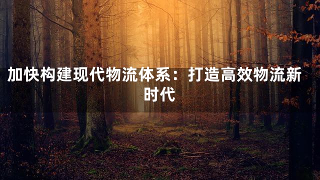 加快构建现代物流体系：打造高效物流新时代