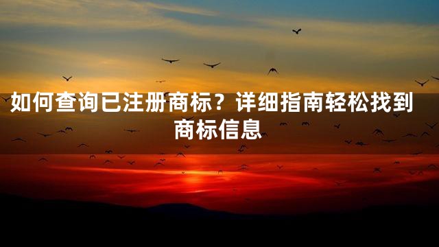 如何查询已注册商标？详细指南轻松找到商标信息