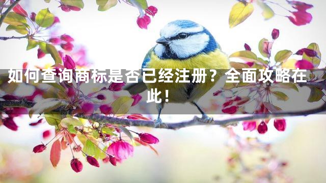 如何查询商标是否已经注册？全面攻略在此！
