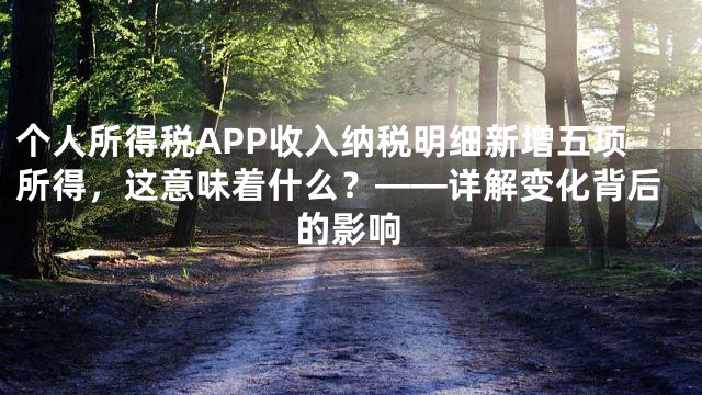 个人所得税APP收入纳税明细新增五项所得，这意味着什么？——详解变化背后的影响