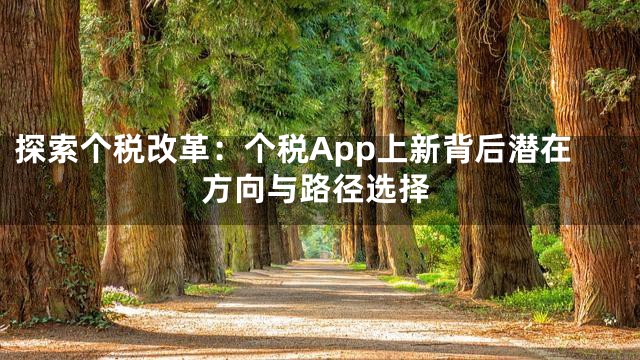 探索个税改革：个税App上新背后潜在方向与路径选择
