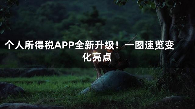个人所得税APP全新升级！一图速览变化亮点