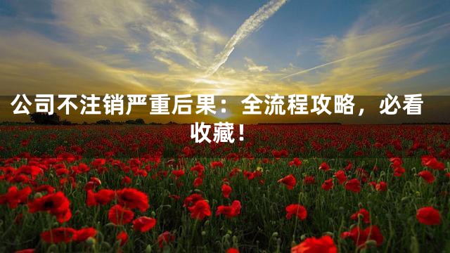 公司不注销严重后果：全流程攻略，必看收藏！