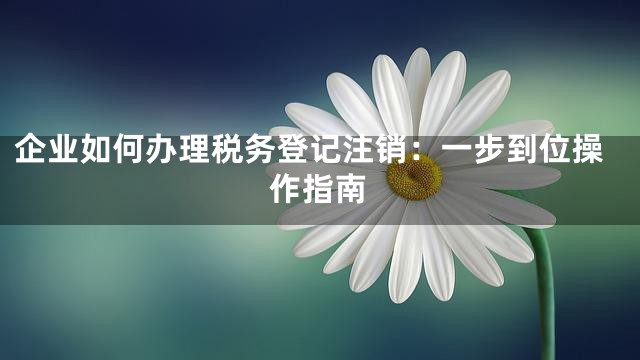 企业如何办理税务登记注销：一步到位操作指南