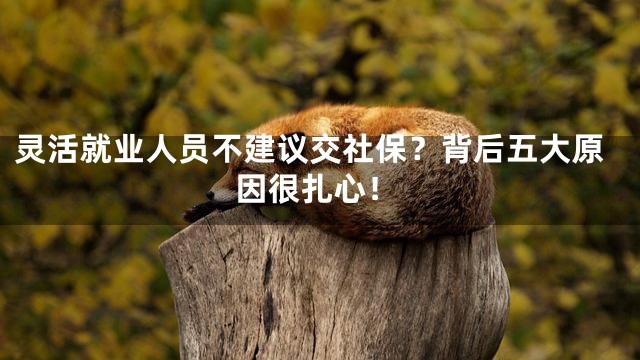灵活就业人员不建议交社保？背后五大原因很扎心！