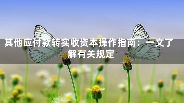 其他应付款转实收资本操作指南：一文了解有关规定