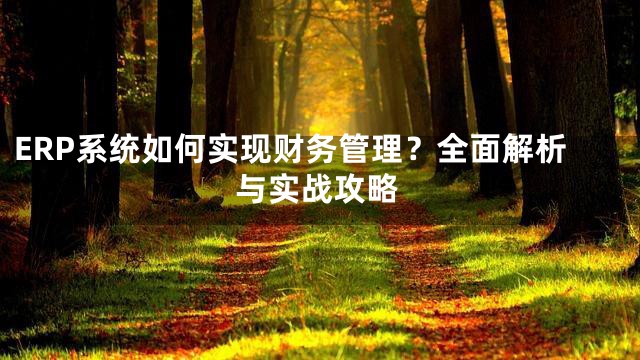 ERP系统如何实现财务管理？全面解析与实战攻略