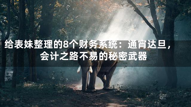 给表妹整理的8个财务系统：通宵达旦，会计之路不易的秘密武器