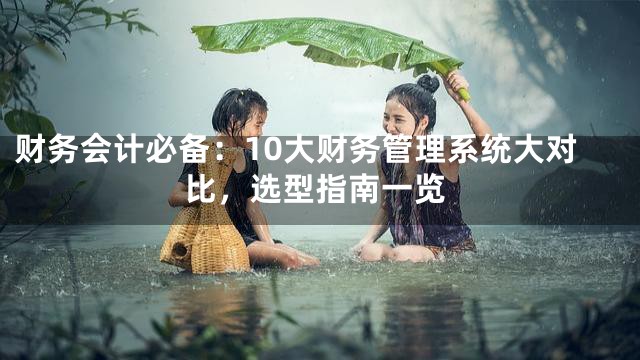 财务会计必备：10大财务管理系统大对比，选型指南一览
