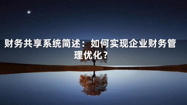 财务共享系统简述：如何实现企业财务管理优化？