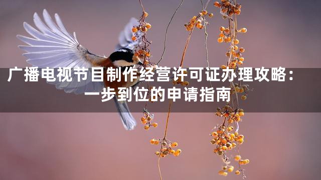 广播电视节目制作经营许可证办理攻略：一步到位的申请指南