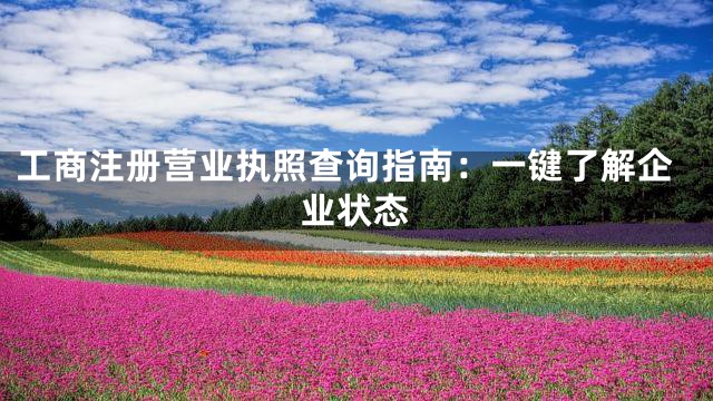 工商注册营业执照查询指南：一键了解企业状态