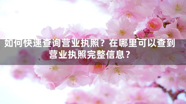 如何快速查询营业执照？在哪里可以查到营业执照完整信息？