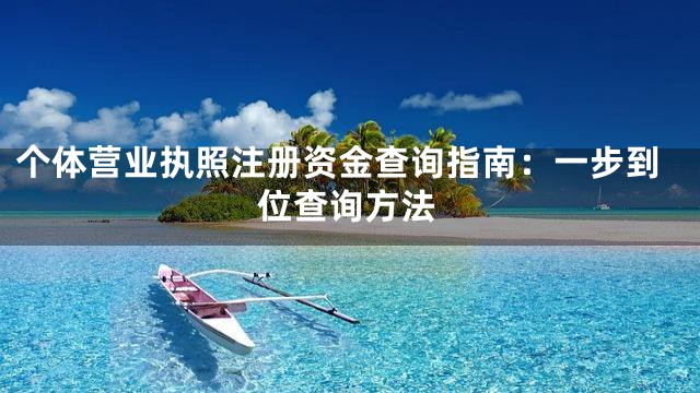 个体营业执照注册资金查询指南：一步到位查询方法