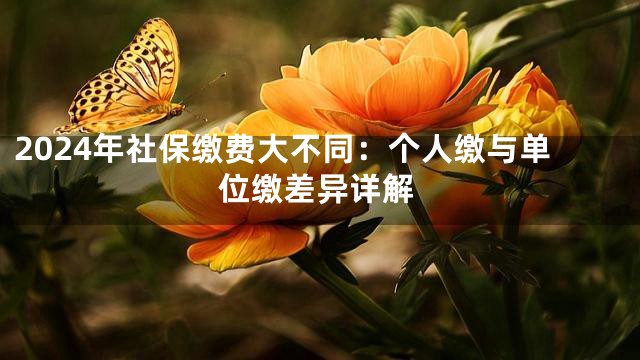 2024年社保缴费大不同：个人缴与单位缴差异详解