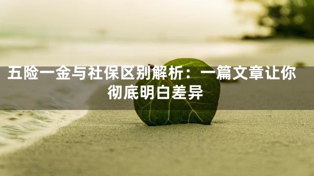 五险一金与社保区别解析：一篇文章让你彻底明白差异