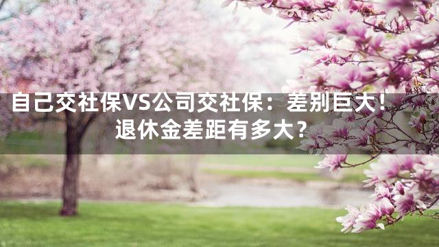 自己交社保VS公司交社保：差别巨大！退休金差距有多大？
