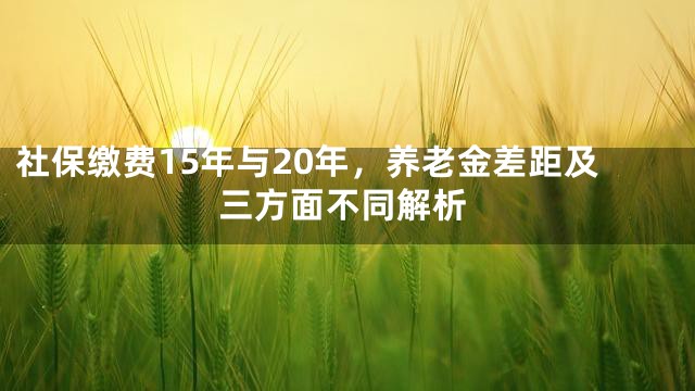 社保缴费15年与20年，养老金差距及三方面不同解析
