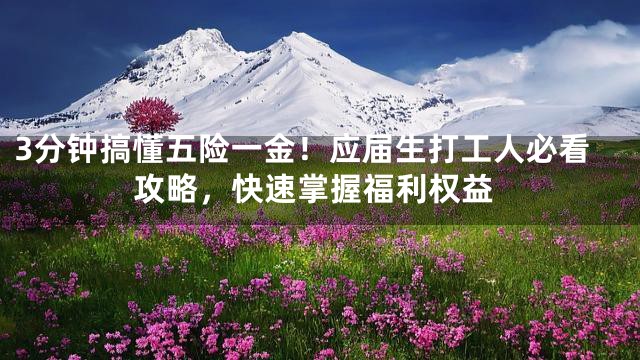 3分钟搞懂五险一金！应届生打工人必看攻略，快速掌握福利权益