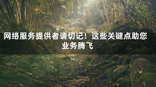 网络服务提供者请切记！这些关键点助您业务腾飞