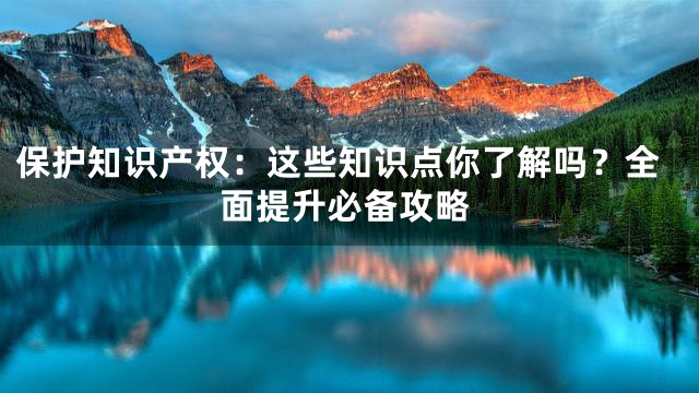保护知识产权：这些知识点你了解吗？全面提升必备攻略