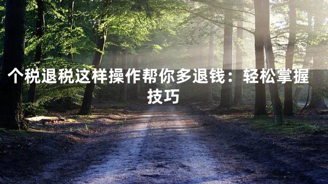 个税退税这样操作帮你多退钱：轻松掌握技巧