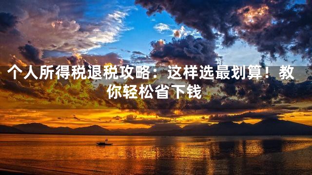 个人所得税退税攻略：这样选最划算！教你轻松省下钱