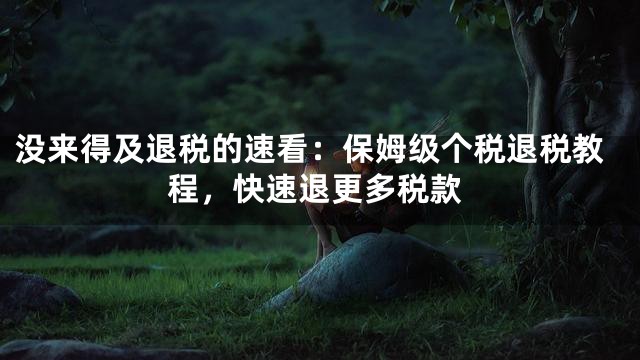 没来得及退税的速看：保姆级个税退税教程，快速退更多税款