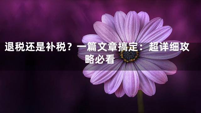 退税还是补税？一篇文章搞定：超详细攻略必看