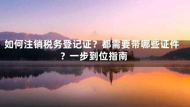 如何注销税务登记证？都需要带哪些证件？一步到位指南