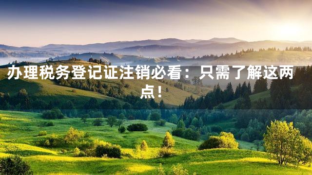 办理税务登记证注销必看：只需了解这两点！
