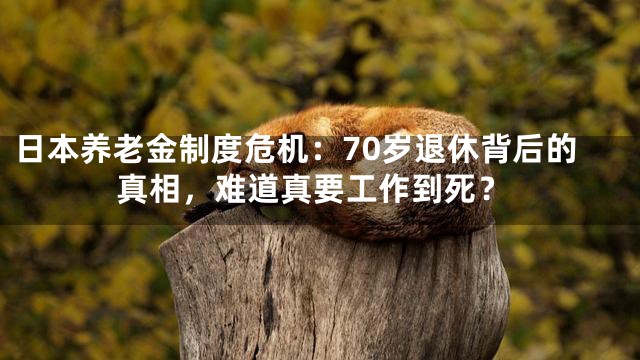 日本养老金制度危机：70岁退休背后的真相，难道真要工作到死？