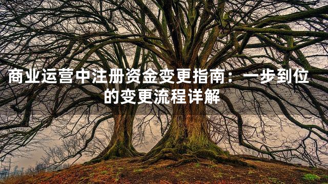 商业运营中注册资金变更指南：一步到位的变更流程详解