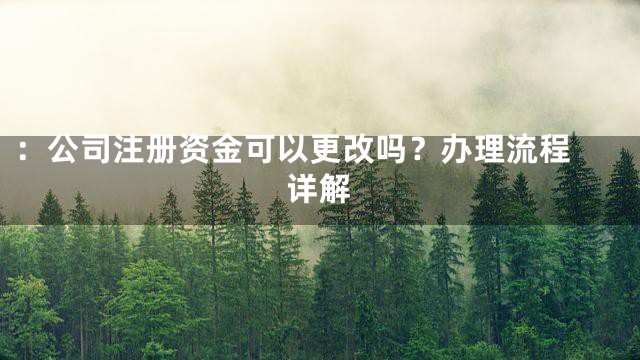 ：
公司注册资金可以更改吗？办理流程详解