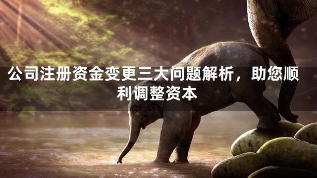 公司注册资金变更三大问题解析，助您顺利调整资本
