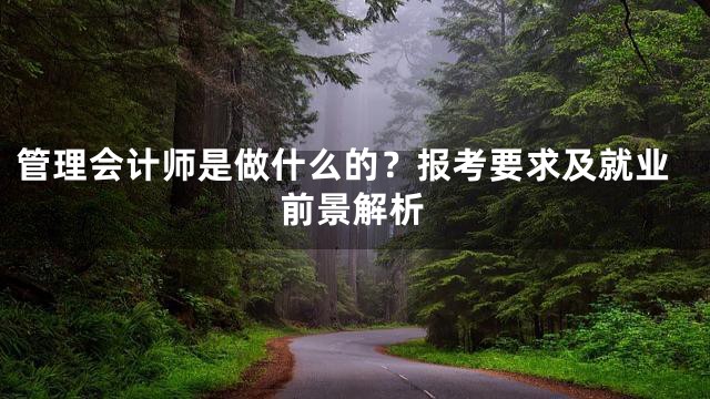 管理会计师是做什么的？报考要求及就业前景解析