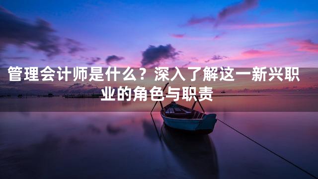 管理会计师是什么？深入了解这一新兴职业的角色与职责